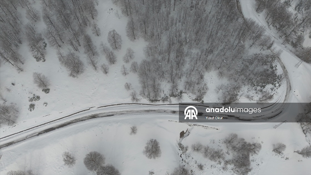 Türkiye’nin biyosfer rezervi alanı Camili Havzası beyaz örtü ile kaplandı