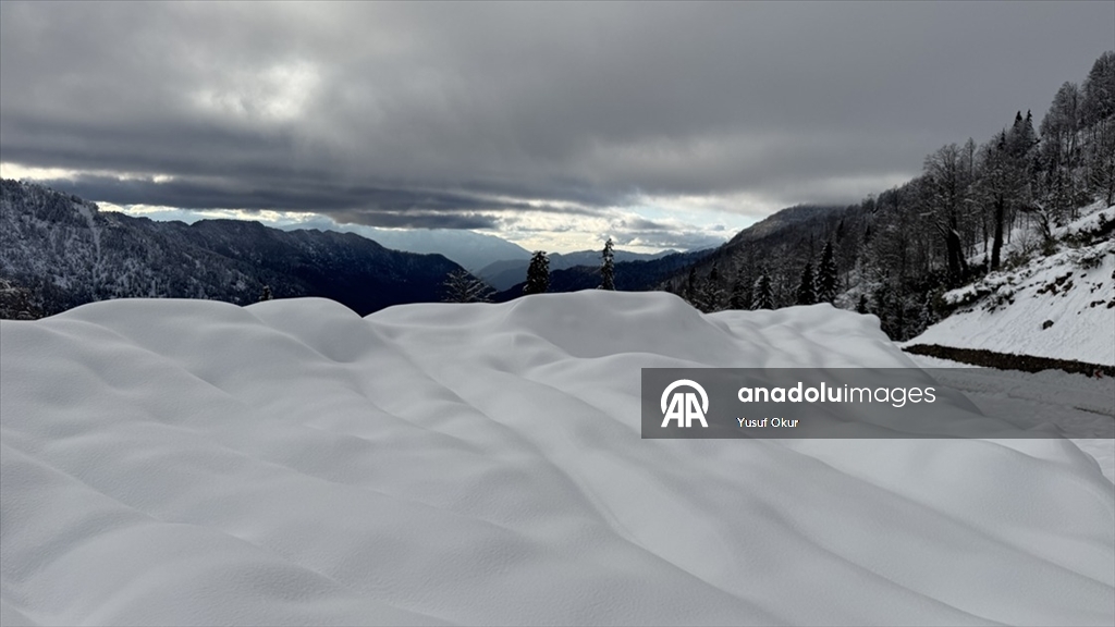 Türkiye’nin biyosfer rezervi alanı Camili Havzası beyaz örtü ile kaplandı