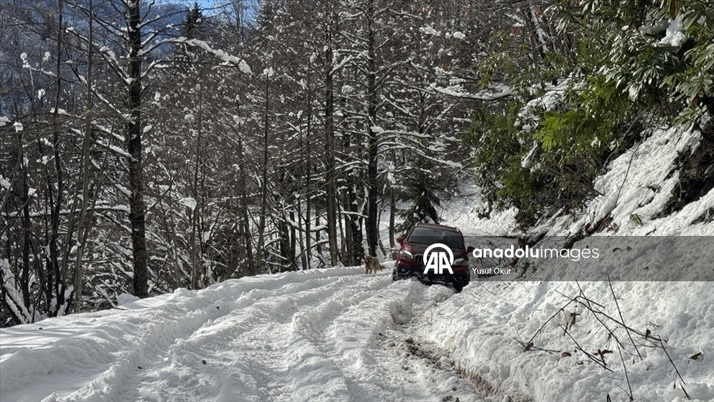 Türkiye’nin biyosfer rezervi alanı Camili Havzası beyaz örtü ile kaplandı