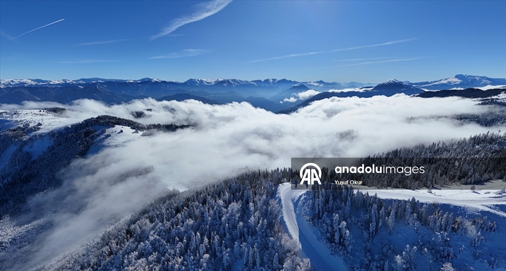 Türkiye’nin biyosfer rezervi alanı Camili Havzası beyaz örtü ile kaplandı