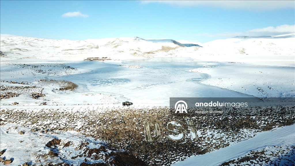 Ağrı'daki Derecek Barajı buzla kaplandı