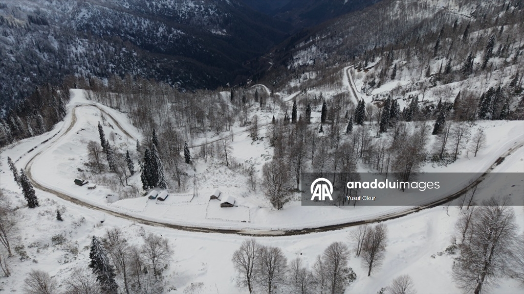 Türkiye’nin biyosfer rezervi alanı Camili Havzası beyaz örtü ile kaplandı