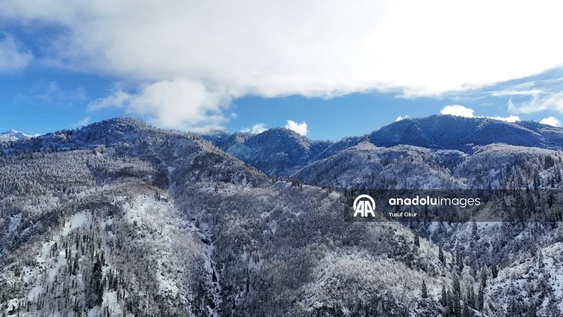 Türkiye’nin biyosfer rezervi alanı Camili Havzası beyaz örtü ile kaplandı
