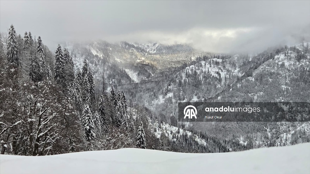 Türkiye’nin biyosfer rezervi alanı Camili Havzası beyaz örtü ile kaplandı