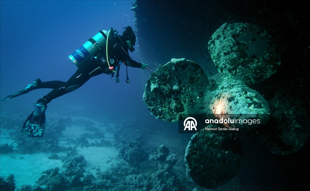 Kızıldeniz’in saygı batığı: Salem Express