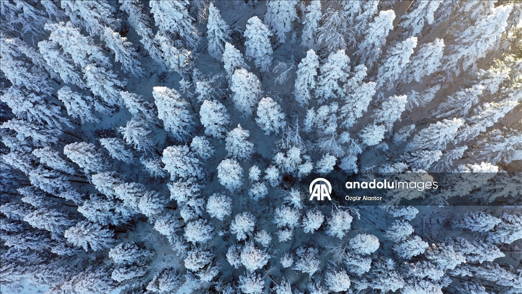 Покрытые белоснежным покровом Кюре-Даглары зафиксированы с высоты птичьего полета