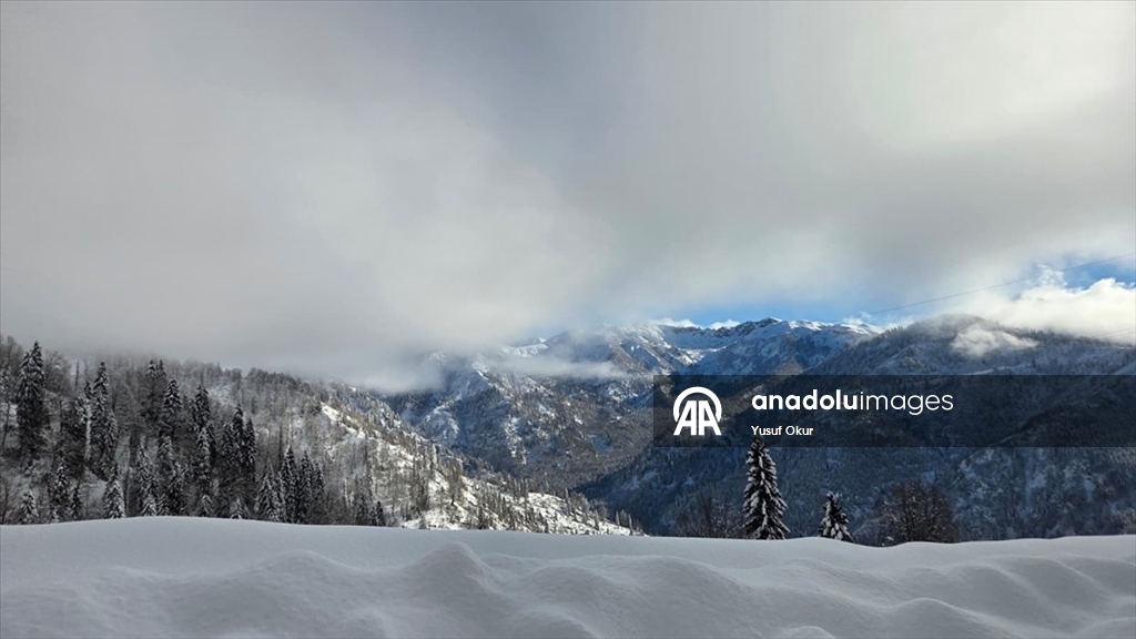 Türkiye’nin biyosfer rezervi alanı Camili Havzası beyaz örtü ile kaplandı