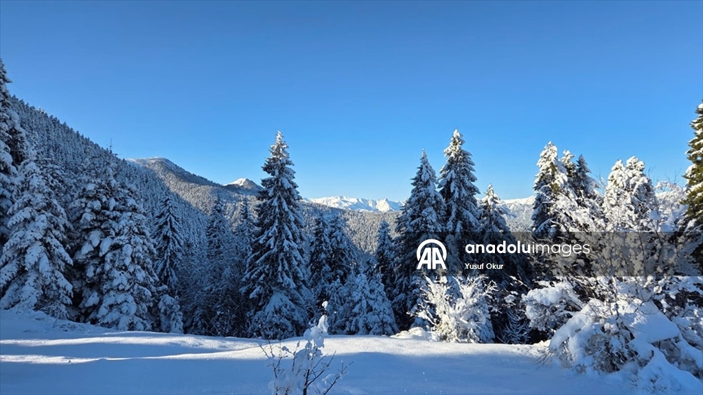 Türkiye’nin biyosfer rezervi alanı Camili Havzası beyaz örtü ile kaplandı