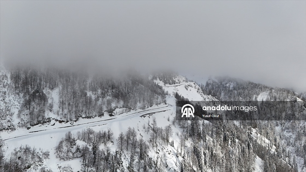 Türkiye’nin biyosfer rezervi alanı Camili Havzası beyaz örtü ile kaplandı