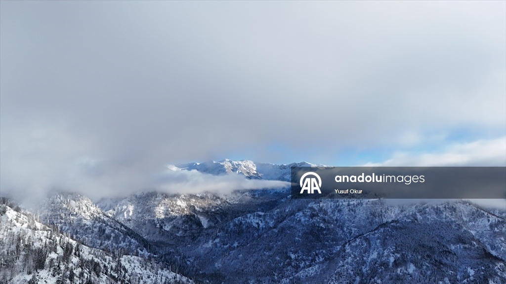 Türkiye’nin biyosfer rezervi alanı Camili Havzası beyaz örtü ile kaplandı