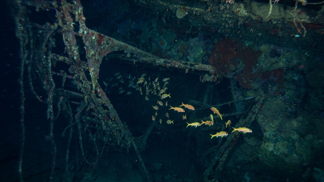 Kızıldeniz’in saygı batığı: Salem Express