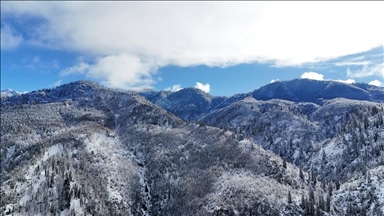 Türkiye’nin biyosfer rezervi alanı Camili Havzası beyaz örtü ile kaplandı