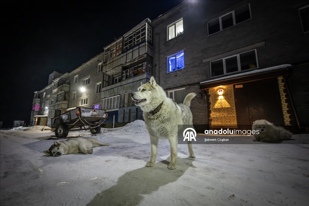 Jeta në skajin e Arktikut: Fshati Teriberka përballë natyrës së ashpër dhe rikthimit të vëmendjes turistike
