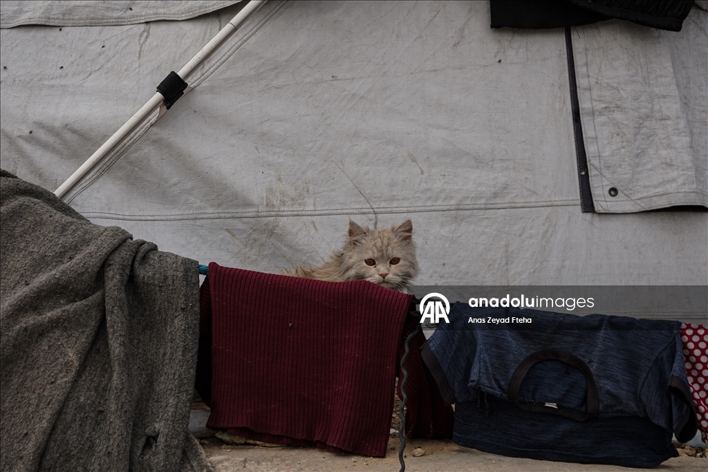 Gazze’de Yermuk depolama sahasında hayatta kalma mücadelesi
