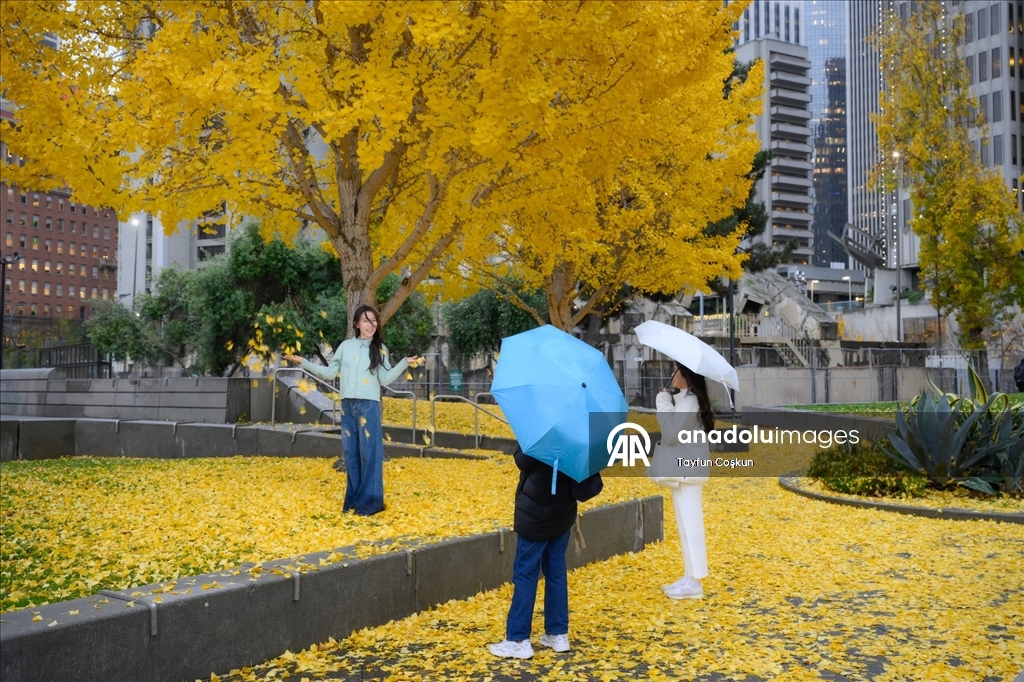 Дождливая погода в Сан-Франциско