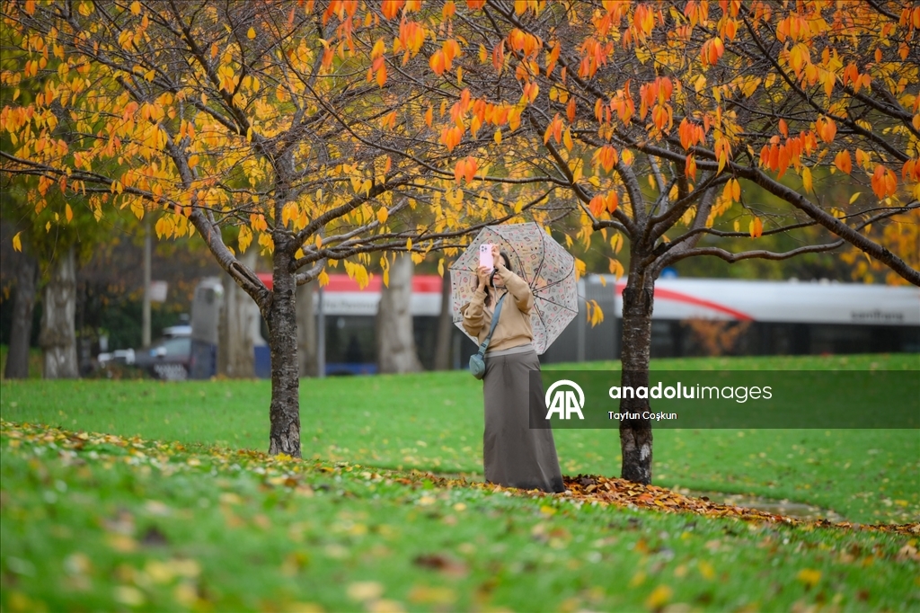 Дождливая погода в Сан-Франциско