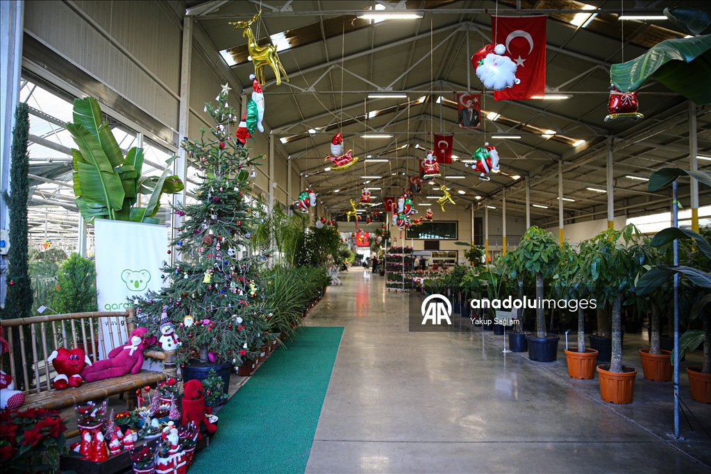 Yılbaşı öncesinde çiçekçilerde hareketlilik yaşanıyor