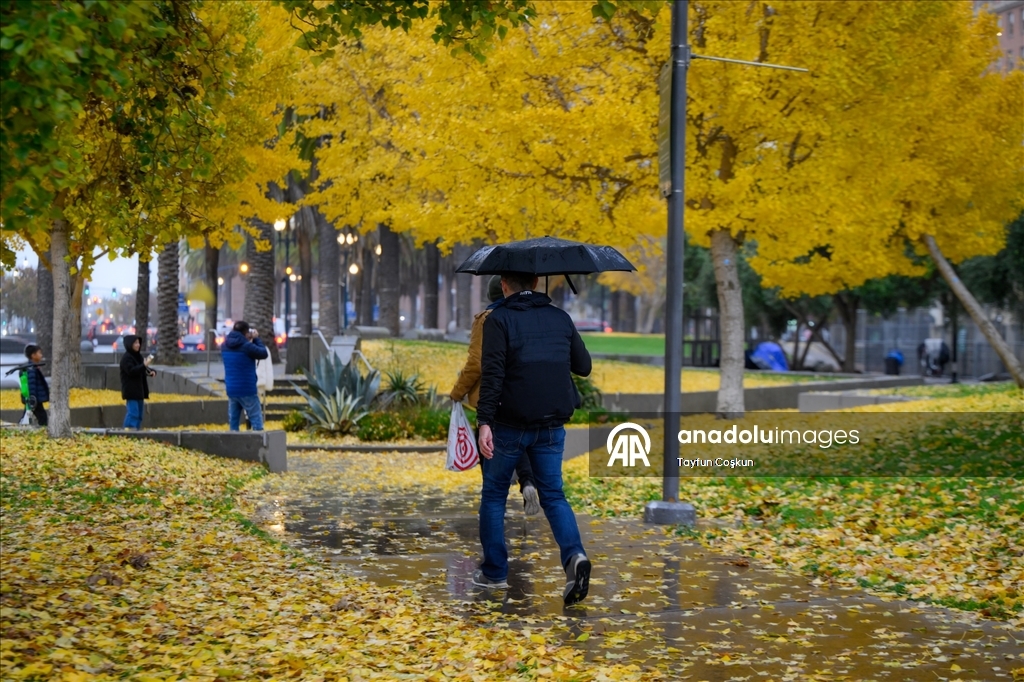 Дождливая погода в Сан-Франциско