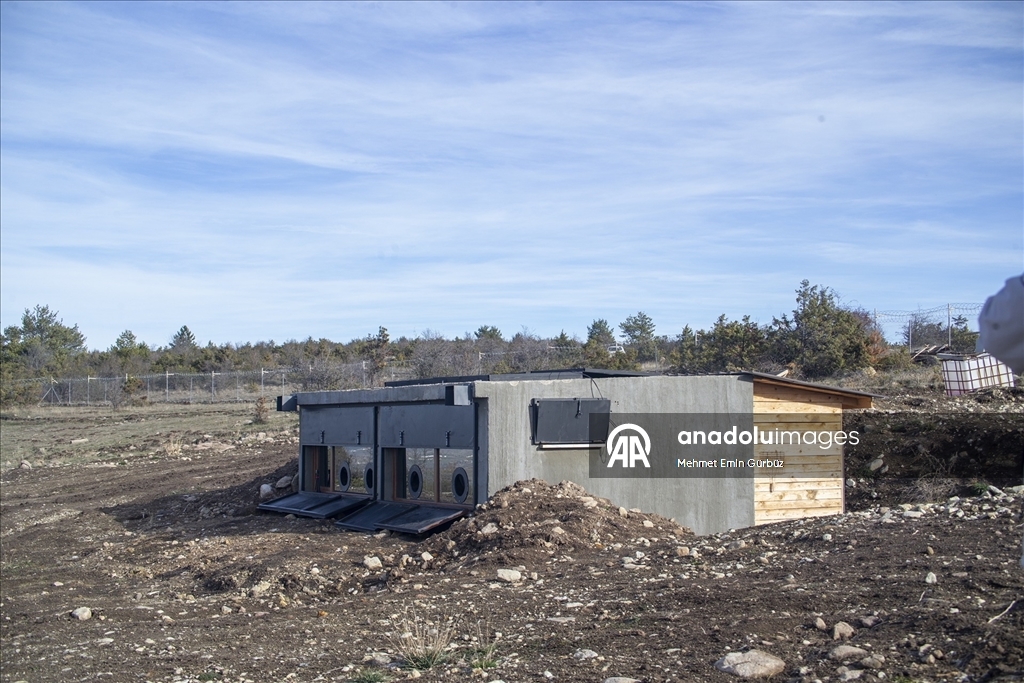 Akbabaların izi Bolu'daki istasyonda sürülüyor