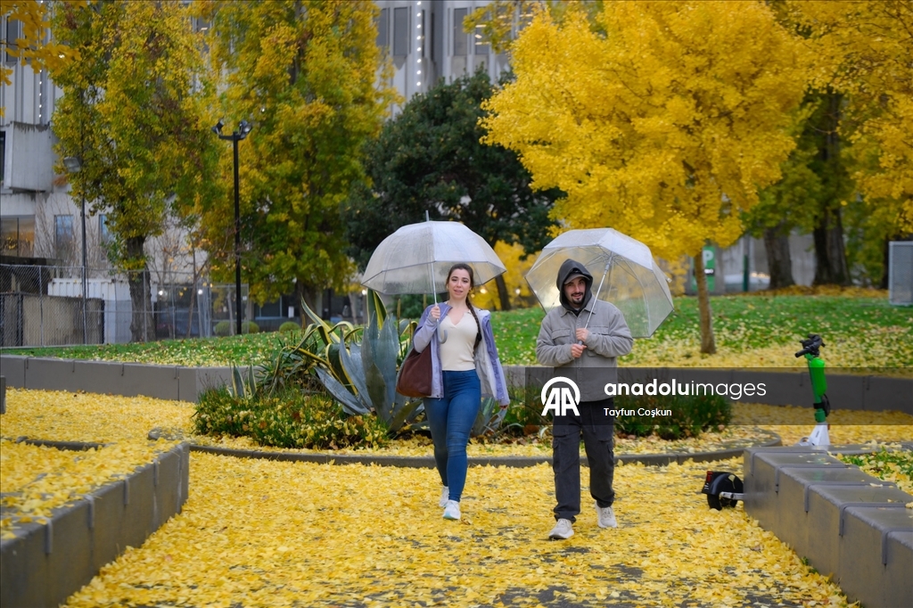 Дождливая погода в Сан-Франциско