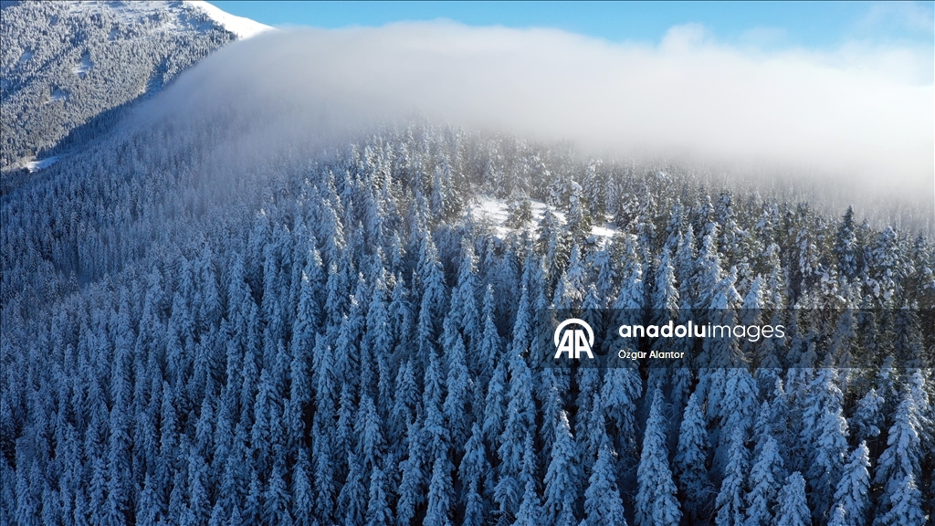 تركيا.. جبال كوره تتوشح بالأبيض بعد تساقط الثلوج