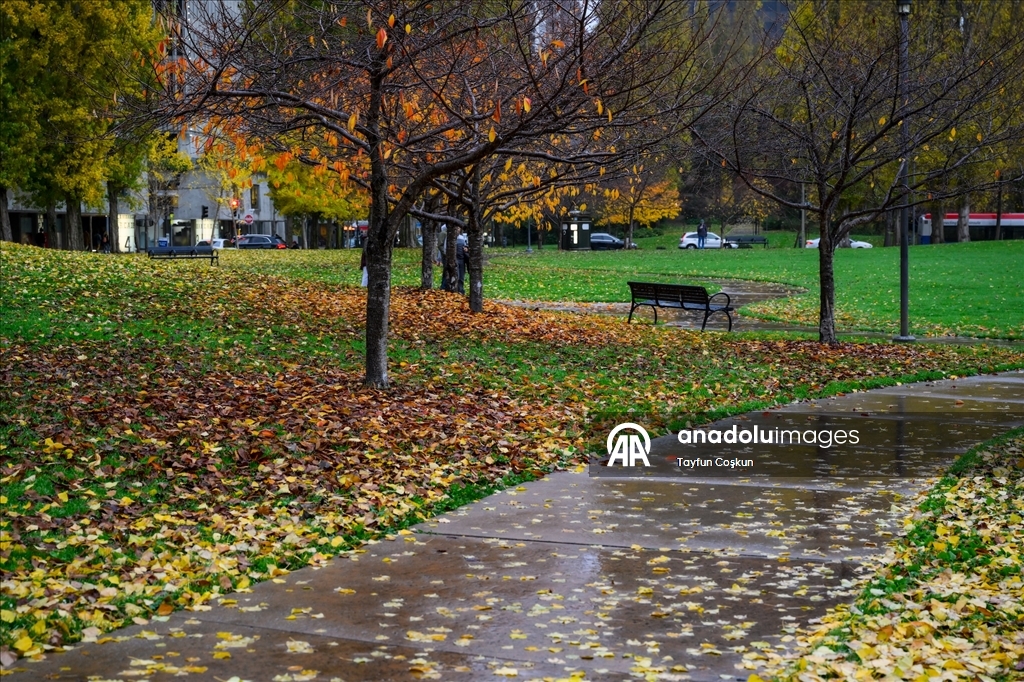 Дождливая погода в Сан-Франциско