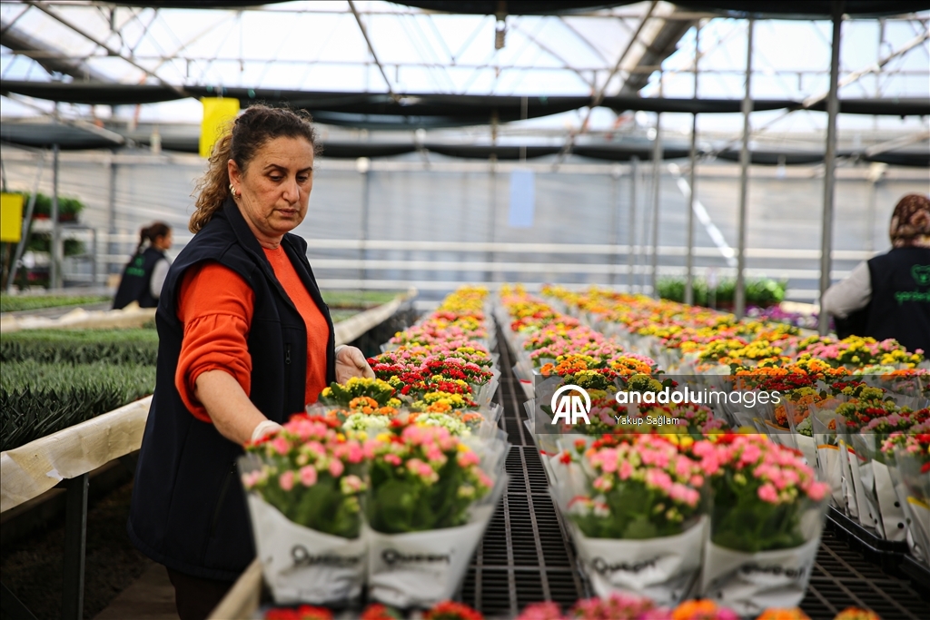 Yılbaşı öncesinde çiçekçilerde hareketlilik yaşanıyor