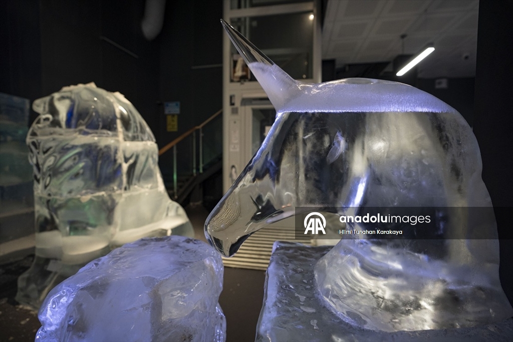 Türk kültüründe öne çıkan karakter ve malzemeleri buza işlediler