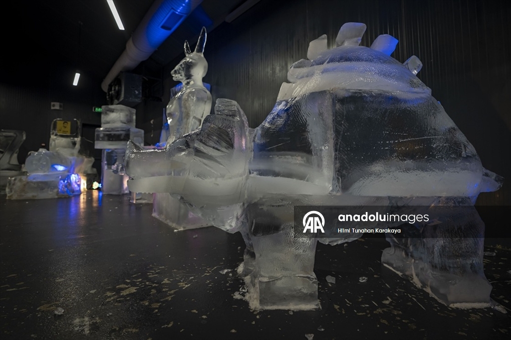 Türk kültüründe öne çıkan karakter ve malzemeleri buza işlediler