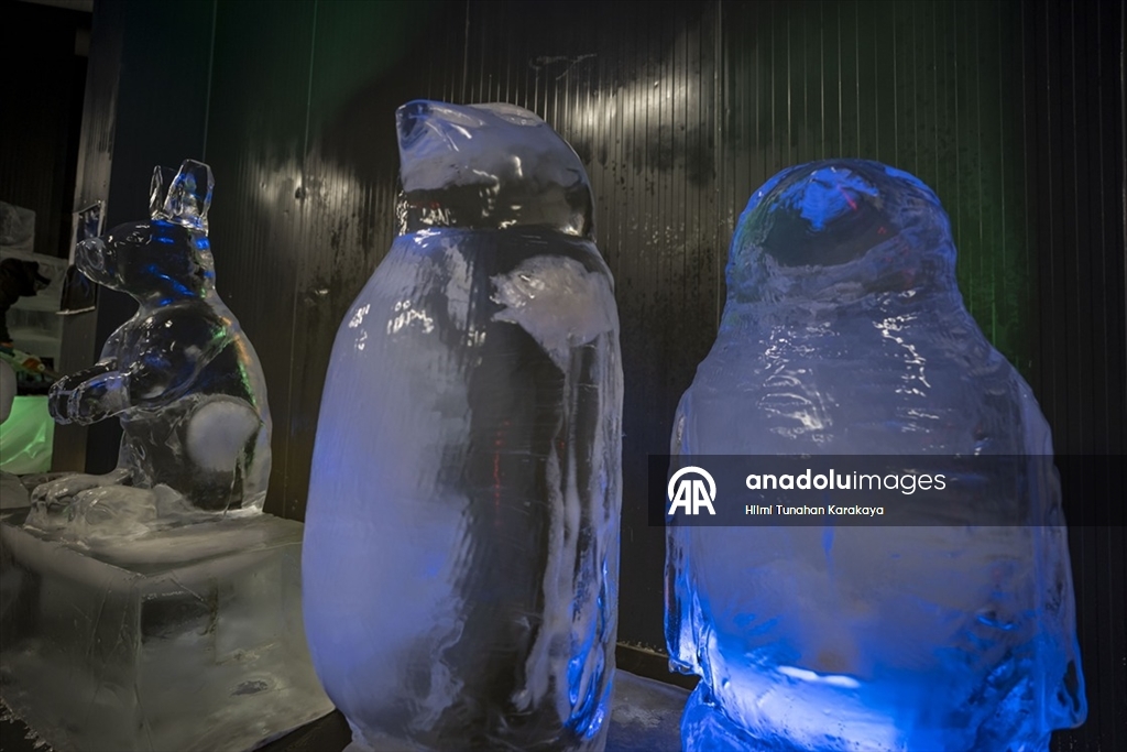 Türk kültüründe öne çıkan karakter ve malzemeleri buza işlediler