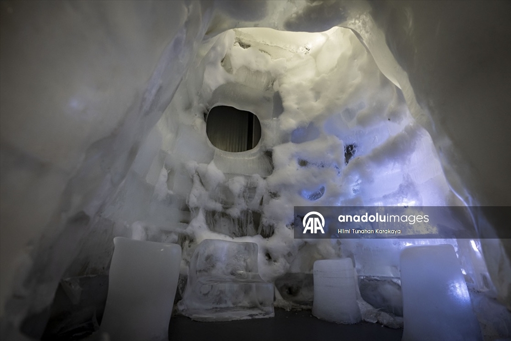 Türk kültüründe öne çıkan karakter ve malzemeleri buza işlediler