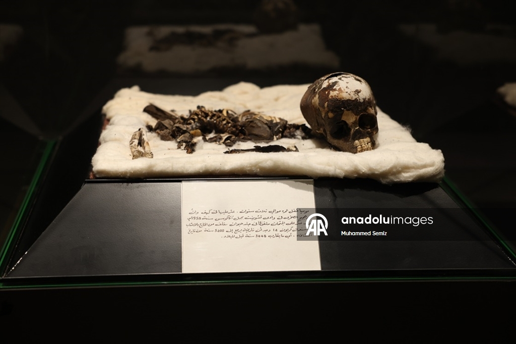 Libya Ulusal Müzesi, 14 yılın ardından ziyaretçilerini yeniden tarihte yolculuğa çıkarıyor