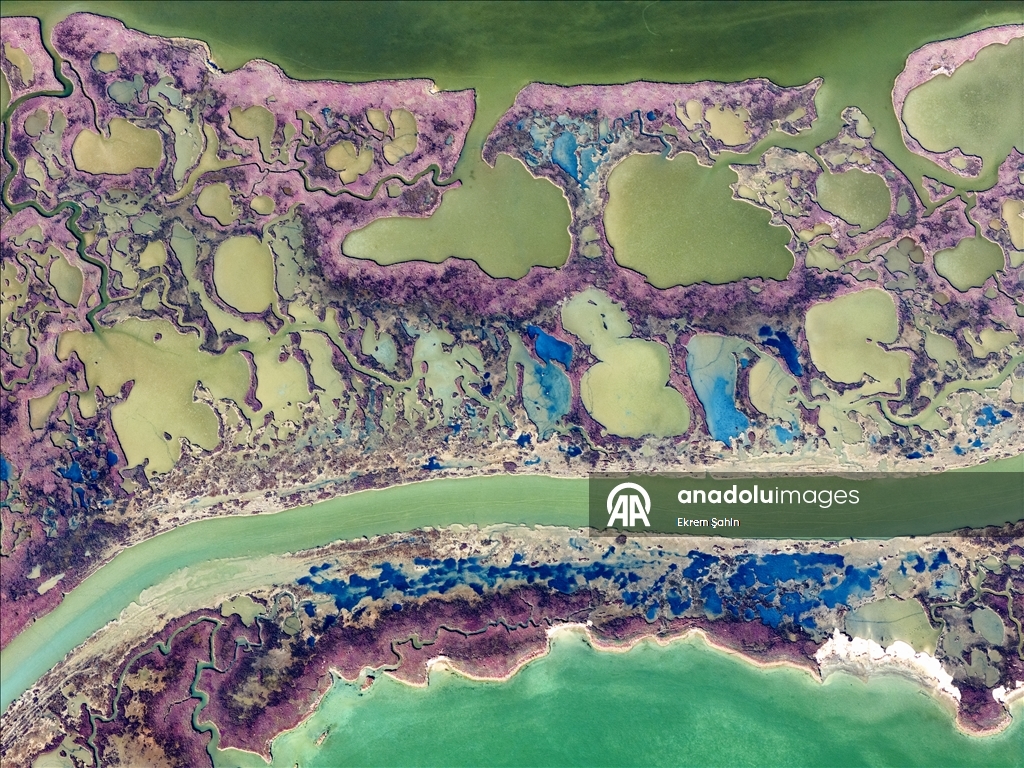 Natural formations on the water surface stand out at Yumurtalik Lagoon in Turkiye’s Adana