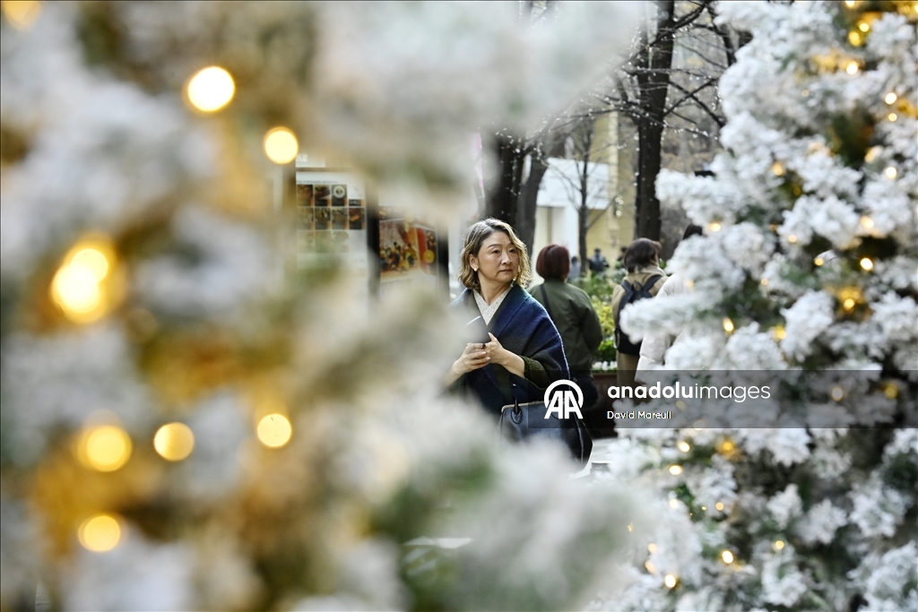 Tokyo'da Noel hazırlıkları
