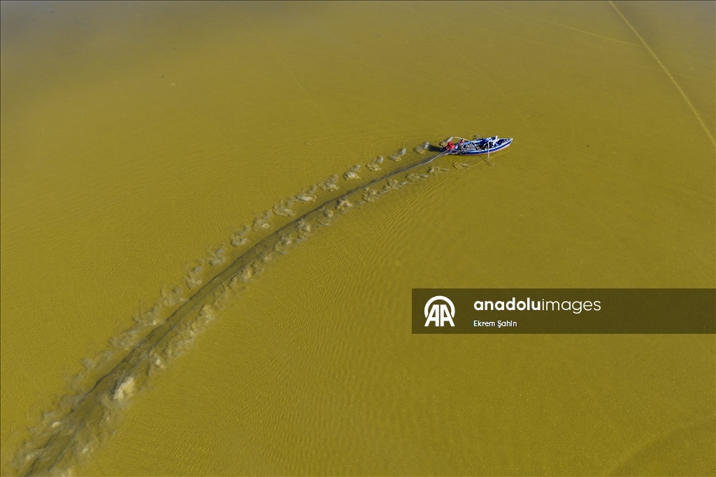 Natural formations on the water surface stand out at Yumurtalik Lagoon in Turkiye’s Adana