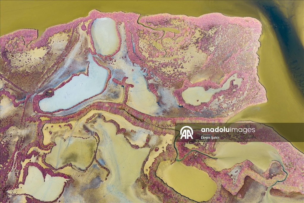 Natural formations on the water surface stand out at Yumurtalik Lagoon in Turkiye’s Adana