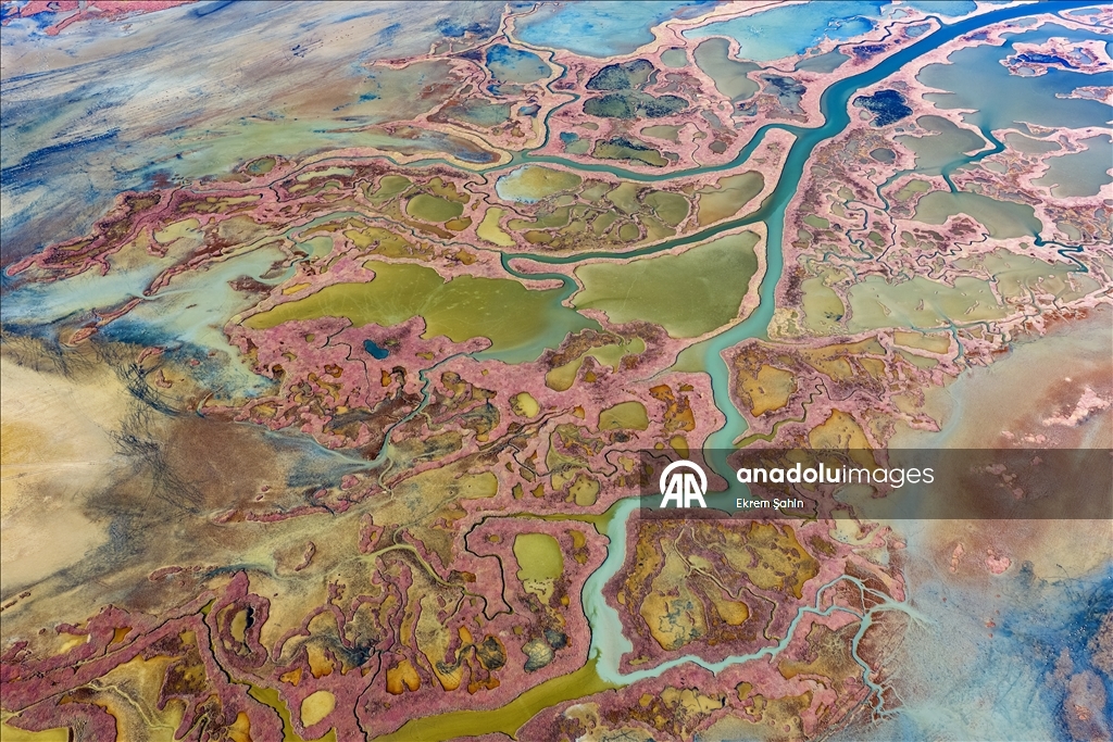 Natural formations on the water surface stand out at Yumurtalik Lagoon in Turkiye’s Adana