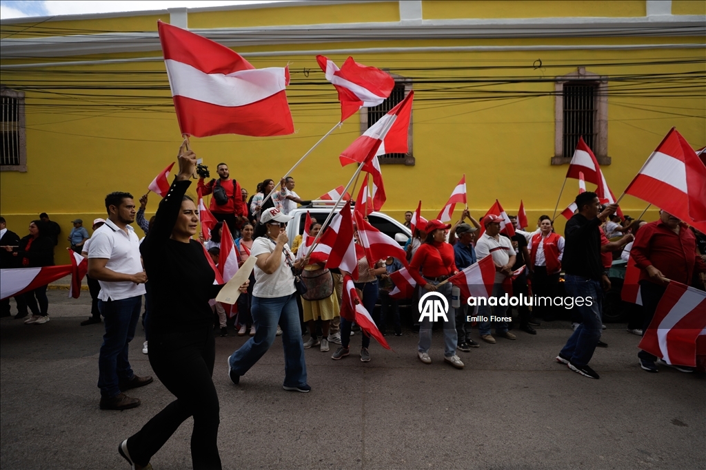 Члены Либеральной партии Гондураса провели акцию протеста у Национального избирательного совета