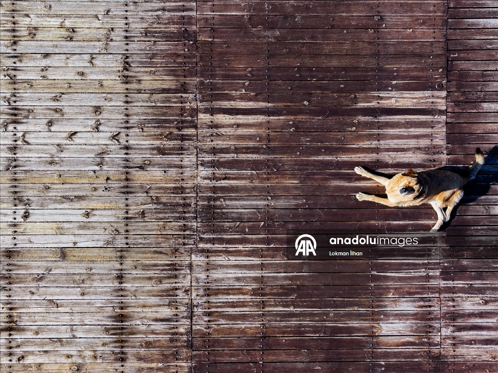 Çeşme'nin plajları ve berrak suları