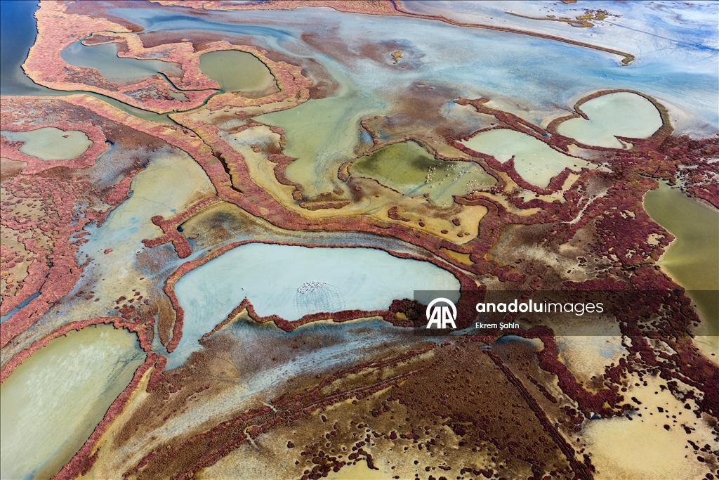 Natural formations on the water surface stand out at Yumurtalik Lagoon in Turkiye’s Adana