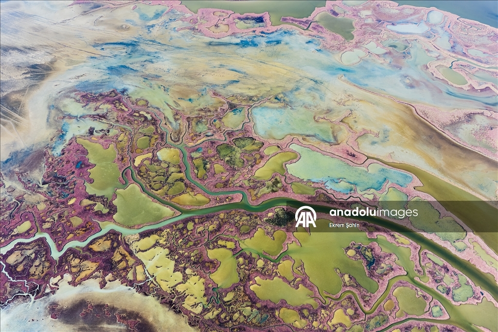 Natural formations on the water surface stand out at Yumurtalik Lagoon in Turkiye’s Adana