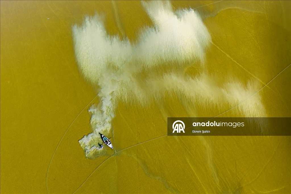 Natural formations on the water surface stand out at Yumurtalik Lagoon in Turkiye’s Adana