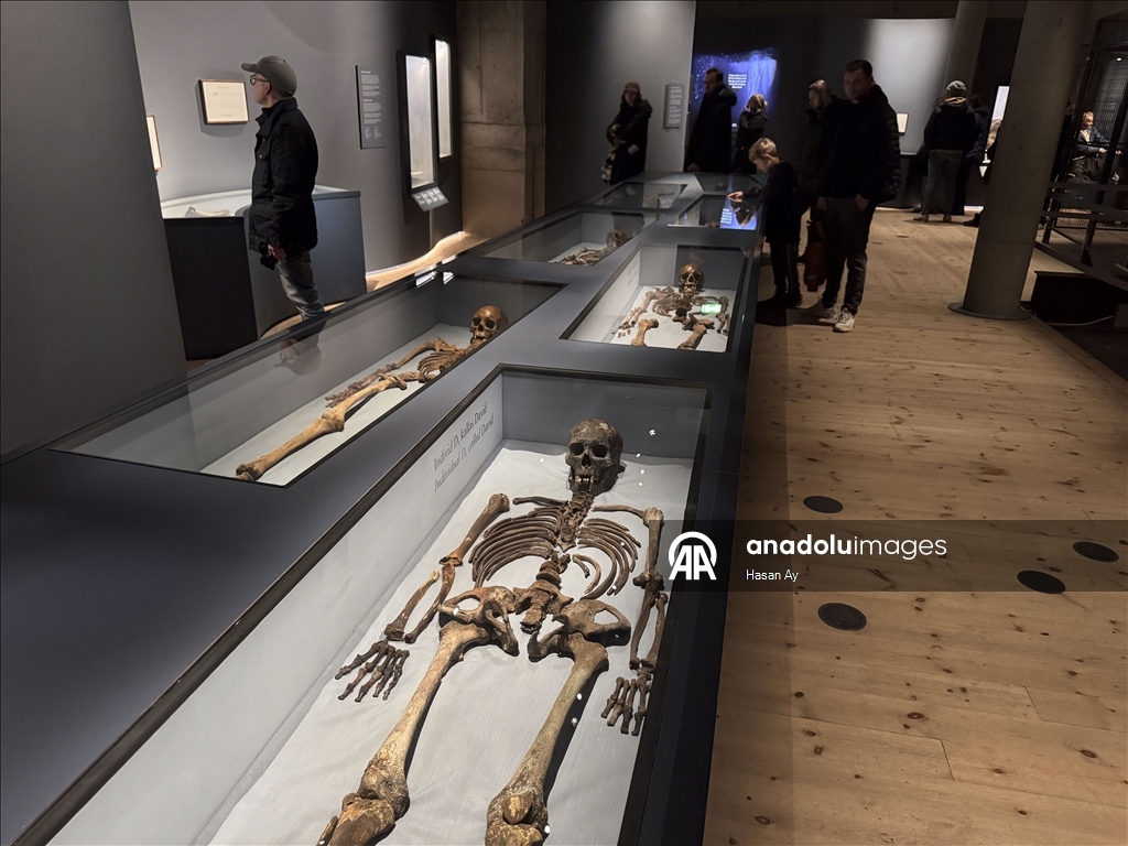 Стокгольм и музей Васа