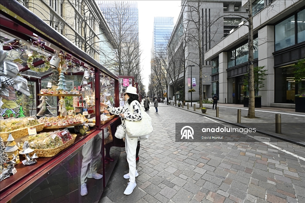Tokyo'da Noel hazırlıkları