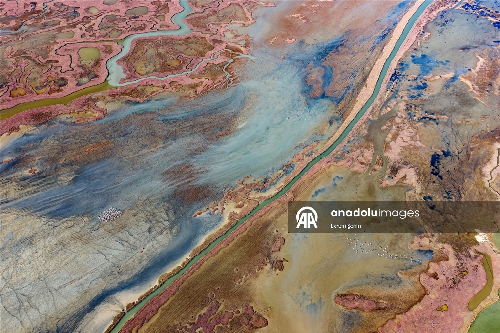 Natural formations on the water surface stand out at Yumurtalik Lagoon in Turkiye’s Adana