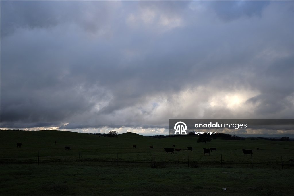 Мощные ливни, вызванные атмосферной рекой, негативно сказываются на повседневной жизни в Калифорнии