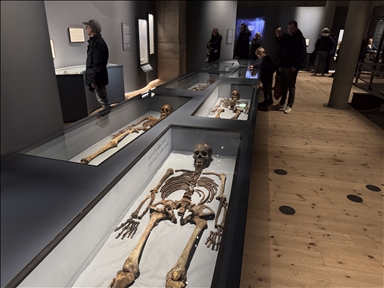 Стокгольм и музей Васа