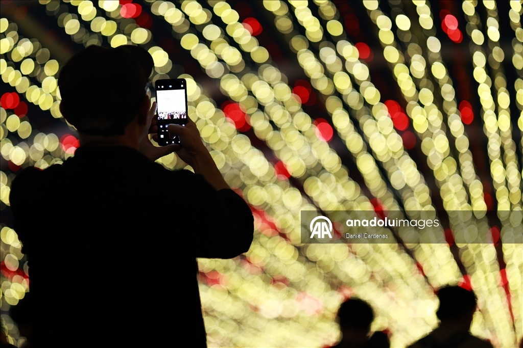 Фестиваль «Зимние огни» прошёл на площади Сокало в Мехико
