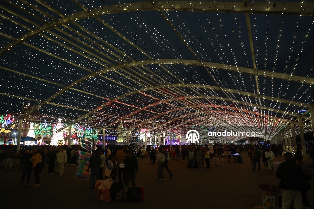 Фестиваль «Зимние огни» прошёл на площади Сокало в Мехико