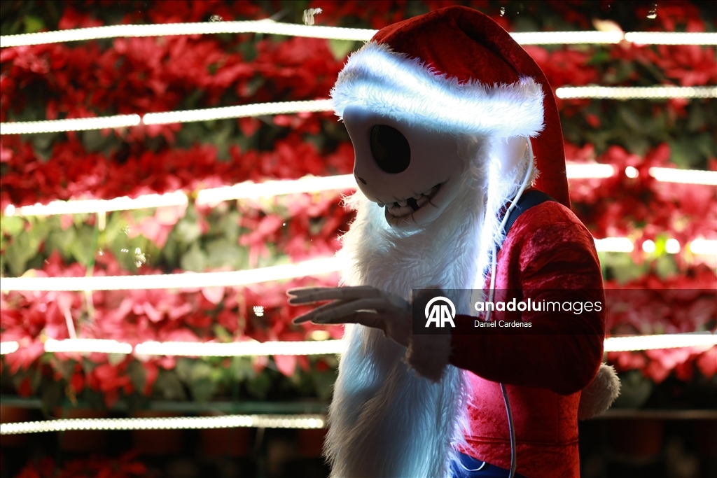 Фестиваль «Зимние огни» прошёл на площади Сокало в Мехико